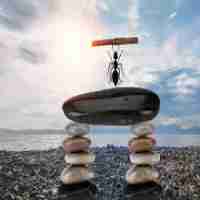 高‍效​AI写​作‌脚‍本‍